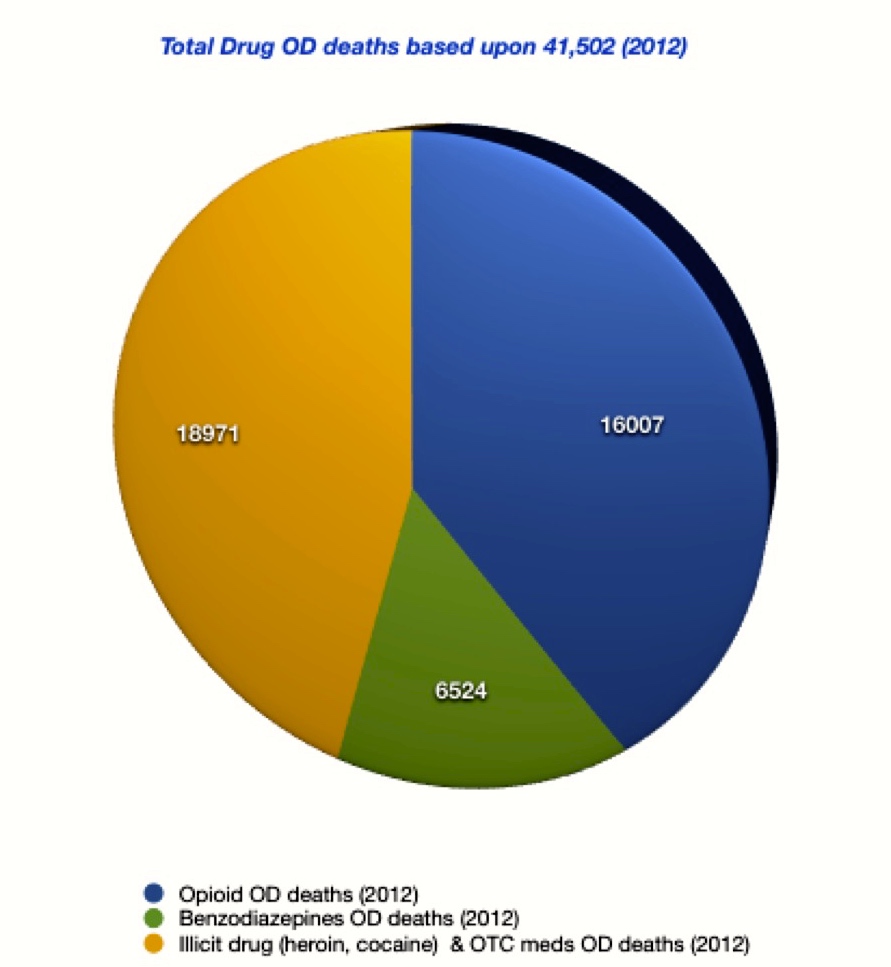 mypainwebopioidchart3jpeg